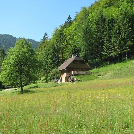 Apartmaji Brloznica Pod Veliko Planino Luče Oda fotoğraf